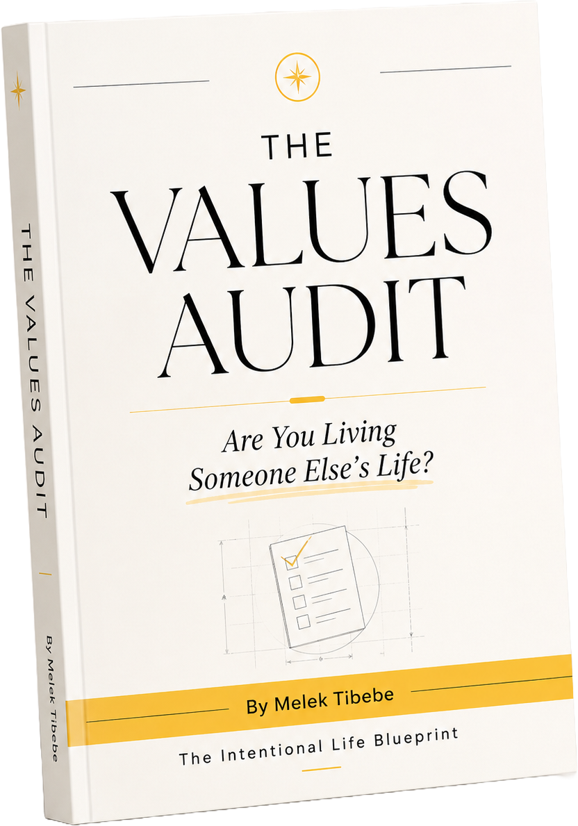 The Values Audit workbook by Melek Tibebe, free PDF cover